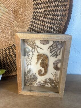 Seahorse Shadow Box Wall Art - Natural Coastal Décor